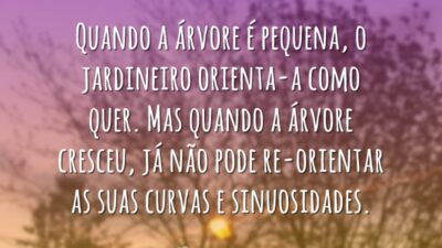 Quando a árvore é pequena, o jardineiro orienta-a como quer. Mas quando&hellip;