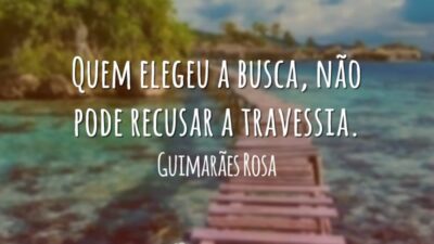 Quem elegeu a busca