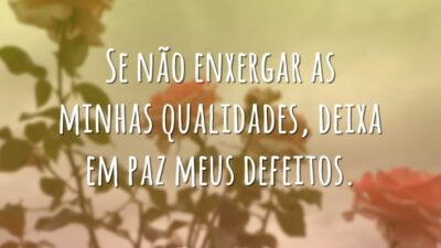 Se não enxergar as minhas qualidades, deixa em paz meus defeitos.