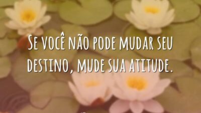 Se você não pode mudar seu destino, mude sua atitude.