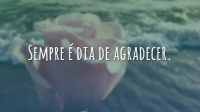 Dia de agradecer