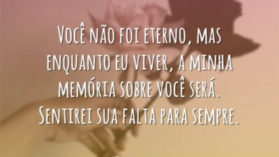 Sempre sentirei sua falta