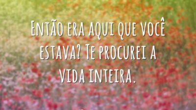 Te procurei a vida toda