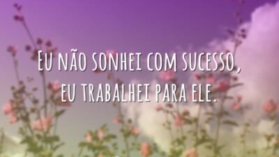 Trabalhei pelo sucesso