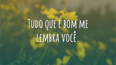 Tudo que é bom