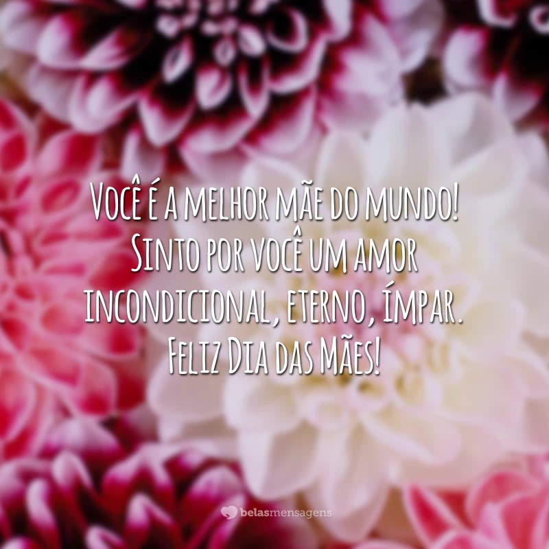 Você é a melhor mãe do mundo! Sinto por você um amor incondicional, eterno, ímpar. Feliz Dia das Mães!