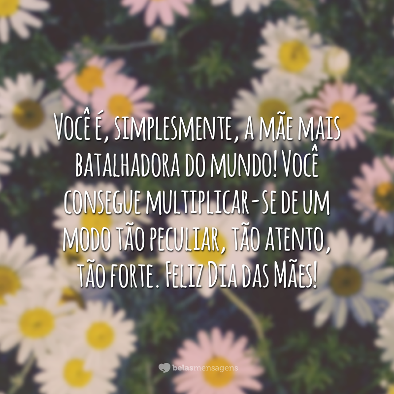 Você é, simplesmente, a mãe mais batalhadora do mundo! Você consegue multiplicar-se de um modo tão peculiar, tão atento, tão forte. Feliz Dia das Mães!