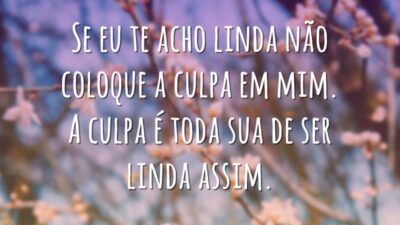 A culpa é sua