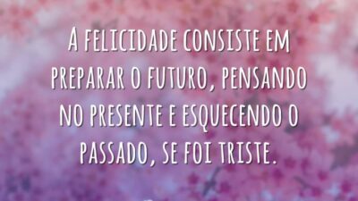 A felicidade consiste em preparar o futuro, pensando no presente e esquecendo&hellip;