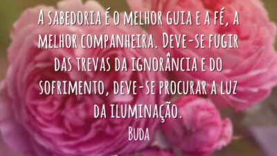 A sabedoria é o melhor guia e a fé, a melhor companheira.&hellip;