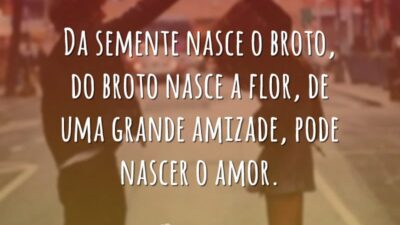 Da semente nasce
