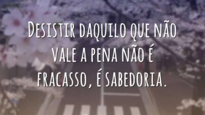 Desistir não é fracasso