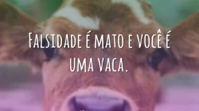 Falsidade é mato