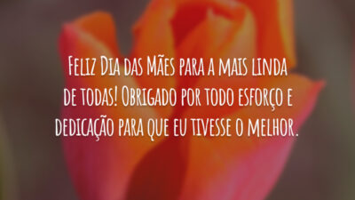 Feliz Dia das Mães para a mais linda de todas! Obrigado por todo esforço e dedicação para que eu tivesse o melhor.