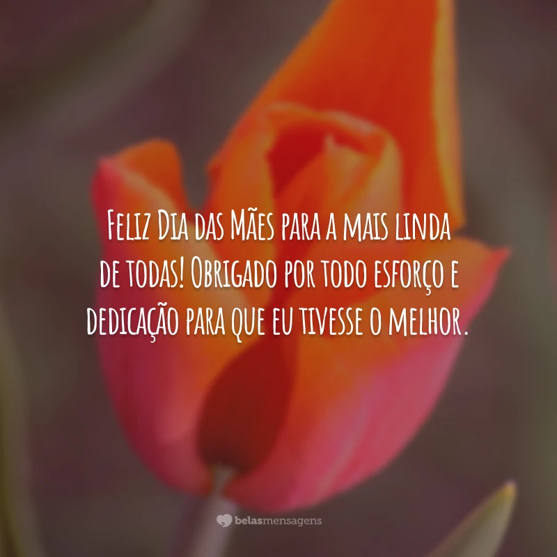 Feliz Dia das Mães para a mais linda de todas! Obrigado por todo esforço e dedicação para que eu tivesse o melhor.