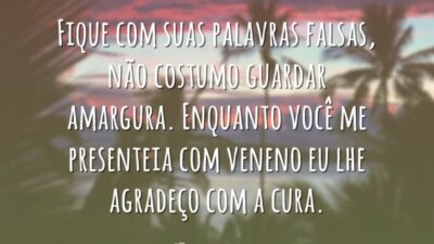 Fique com suas palavras