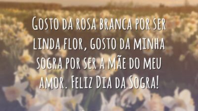 Gosto da minha sogra