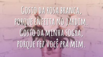 Gosto da rosa branca