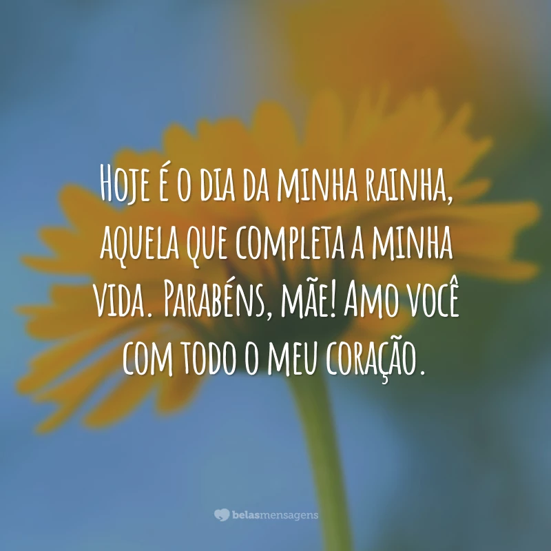 Hoje é o dia da minha rainha, aquela que completa a minha vida. Parabéns, mãe! Amo você com todo o meu coração.