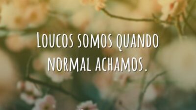 Loucos somos quando normal achamos.