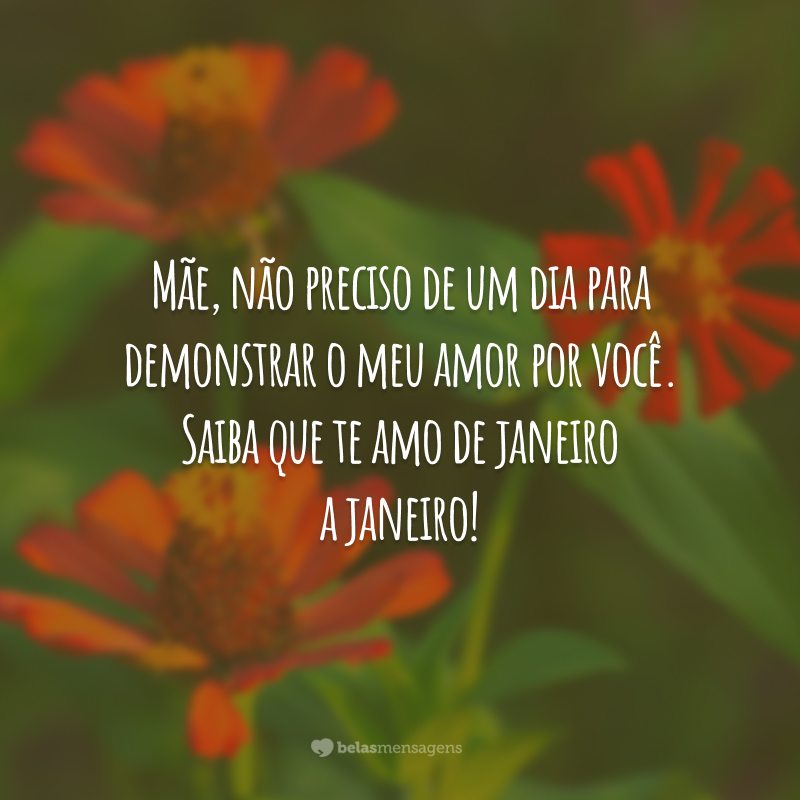 Mãe, não preciso de um dia para demonstrar o meu amor por você. Saiba que te amo de janeiro a janeiro!