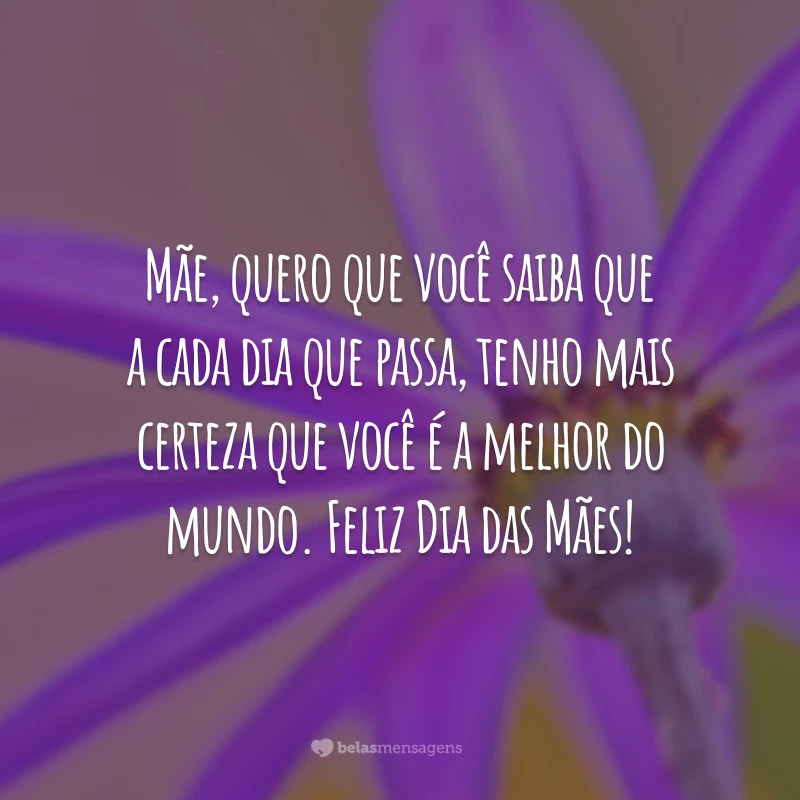 Mãe, quero que você saiba que a cada dia que passa, tenho mais certeza que você é a melhor do mundo. Feliz Dia das Mães!