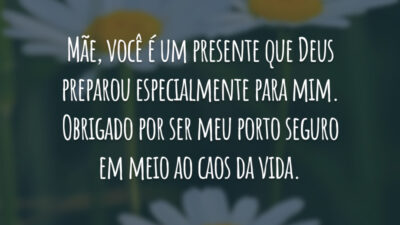 Mãe, você é um presente que Deus preparou especialmente para mim. Obrigado por ser meu porto seguro em meio ao caos da vida.