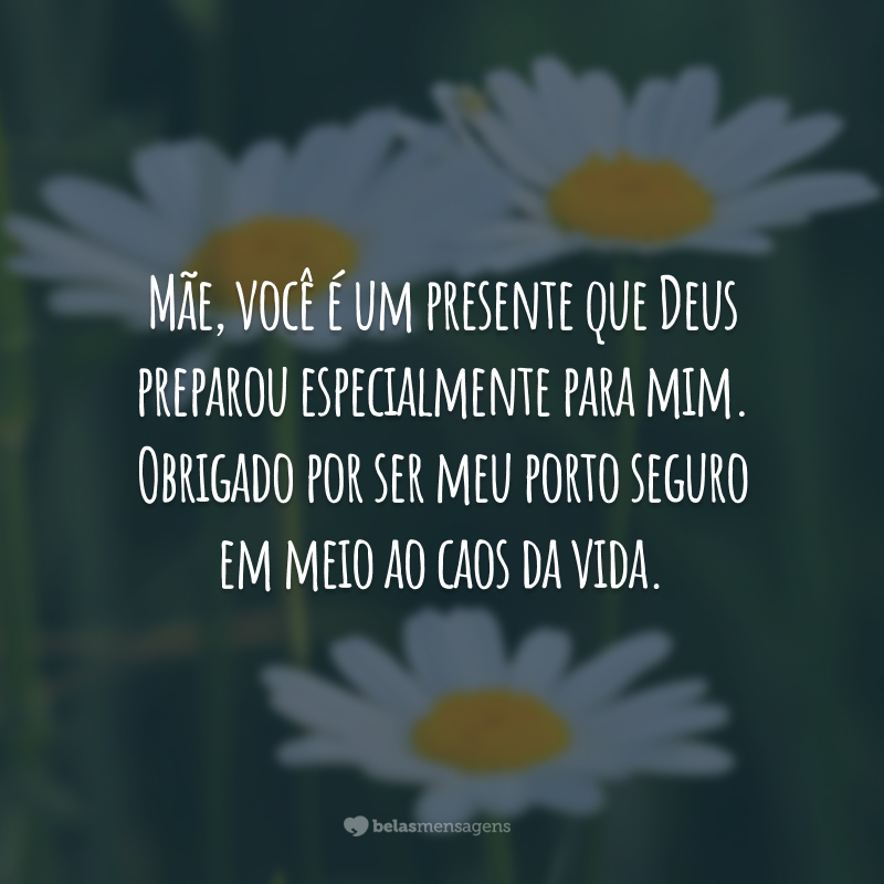 Mãe, você é um presente que Deus preparou especialmente para mim. Obrigado por ser meu porto seguro em meio ao caos da vida.