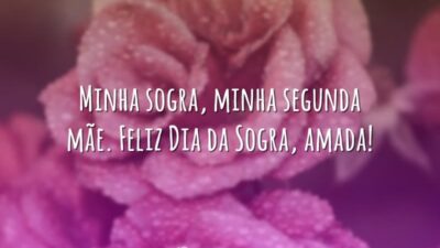 Minha sogra amada