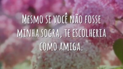 Minha sogra, minha amiga