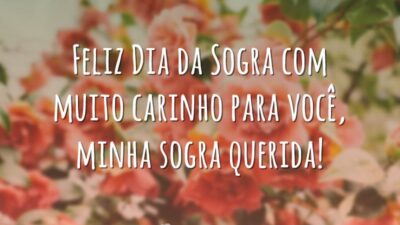 Minha sogra querida