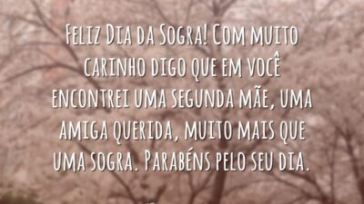 Muito mais que sogra