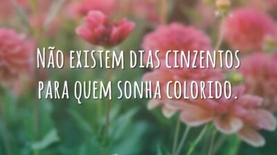 Não existem dias cinzentos para quem sonha colorido.