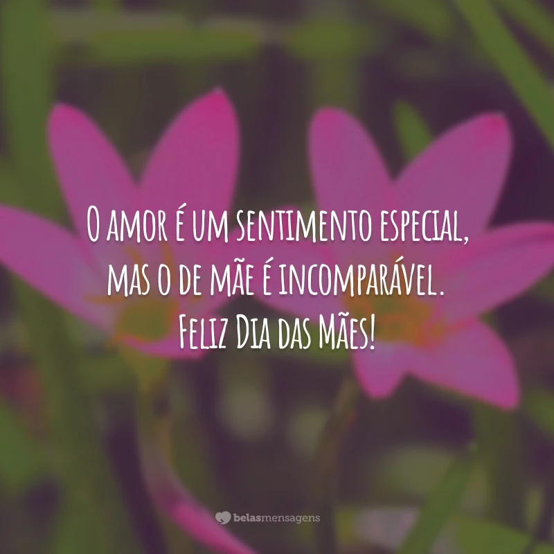 O amor é um sentimento especial, mas o de mãe é incomparável. Feliz Dia das Mães!