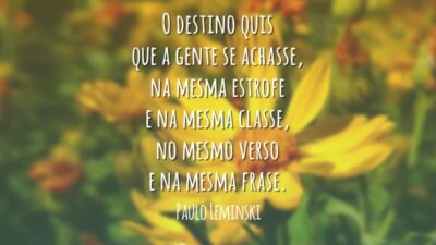 O destino quis