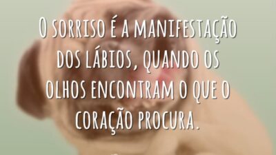 O sorriso é a manifestação dos lábios, quando os olhos encontram o&hellip;