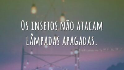 Os insetos não atacam lâmpadas apagadas.