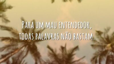 Para um mau entendedor, todas palavras não bastam.