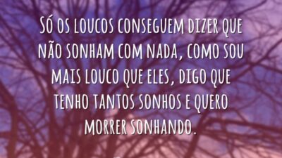 Só os loucos conseguem dizer que não sonham com nada, como sou&hellip;