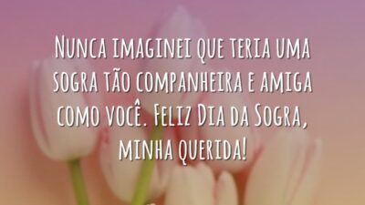 Sogra companheira e amiga