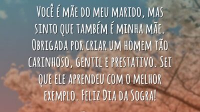 Sogra e mãe