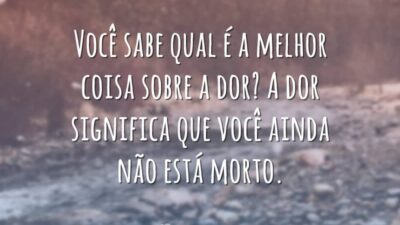 Você sabe qual é a melhor coisa sobre a dor? A dor&hellip;