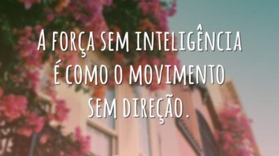 A força sem inteligência