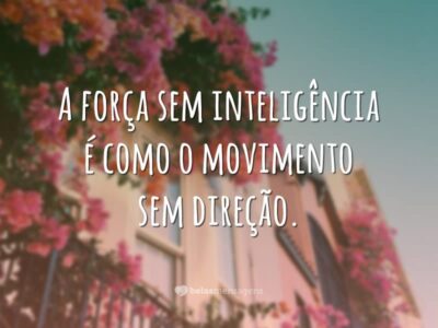 A força sem inteligência