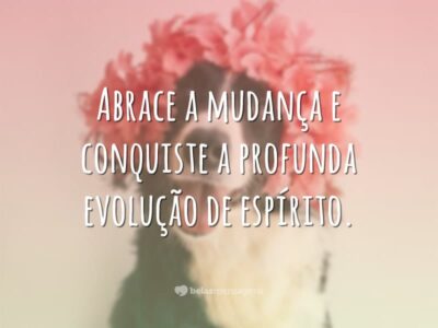 Abrace a mudança