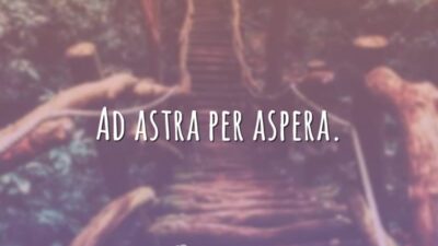Ad astra per aspera. (Por ásperos, até aos astros.)