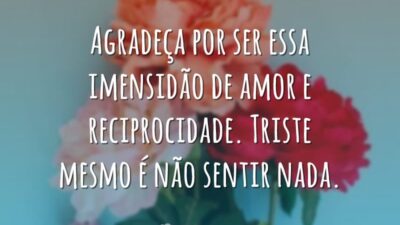 Agradeça por ser essa imensidão de amor e reciprocidade. Triste mesmo é&hellip;