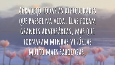 Agradeço todas as dificuldades que passei na vida. Elas foram grandes adversárias,&hellip;