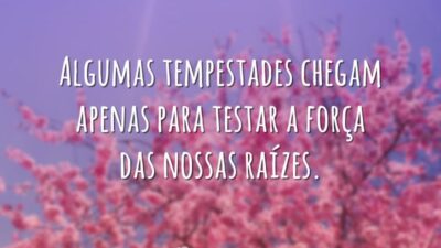 Algumas tempestades chegam apenas para testar a força das nossas raízes.
