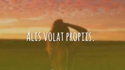 Alis volat propiis. (Ela voa com suas próprias asas.)